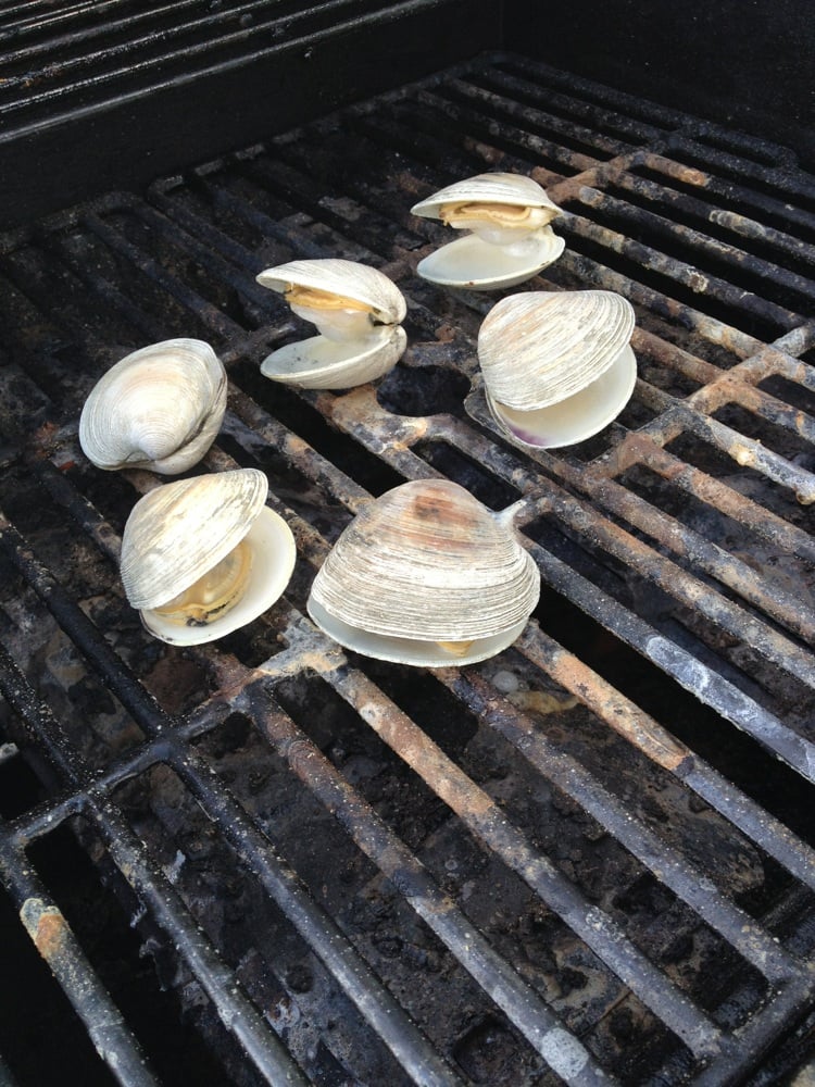 Twin Shellfish Logo