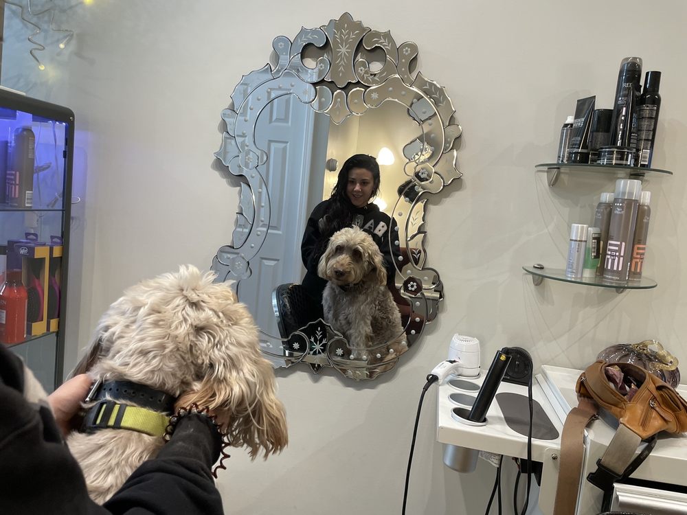 Revamp Hair Studio Logo