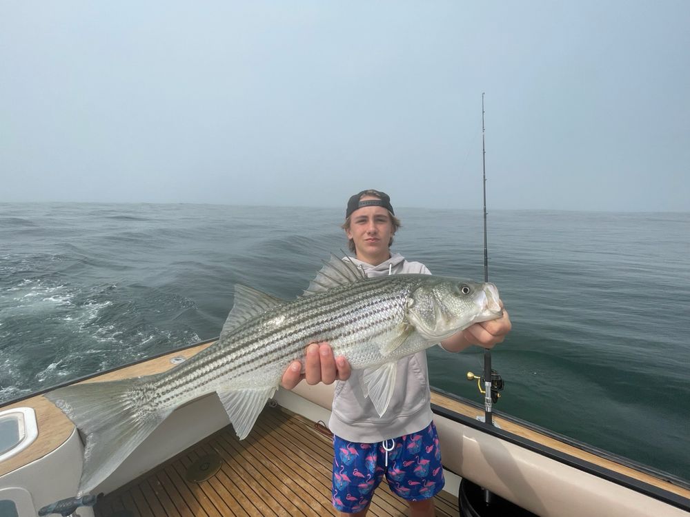 Topspin Fishing Charters Logo