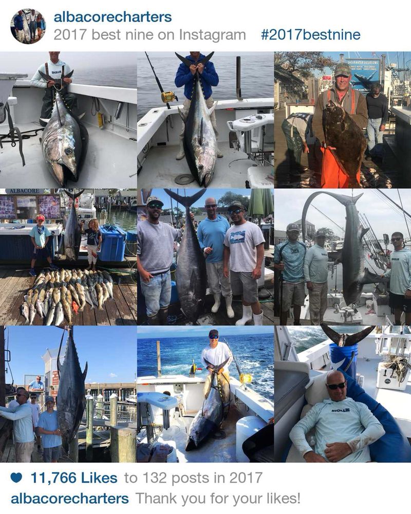 Albacore Charters Logo