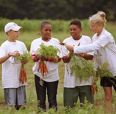 The Food Project Logo