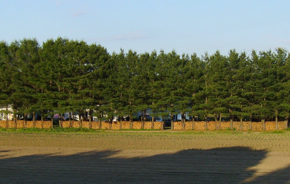 Marshall Farm Logo
