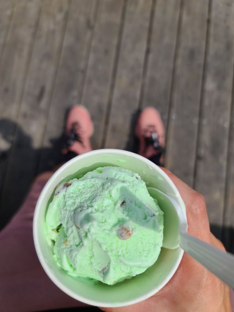 Mystic Park Ice Cream Logo