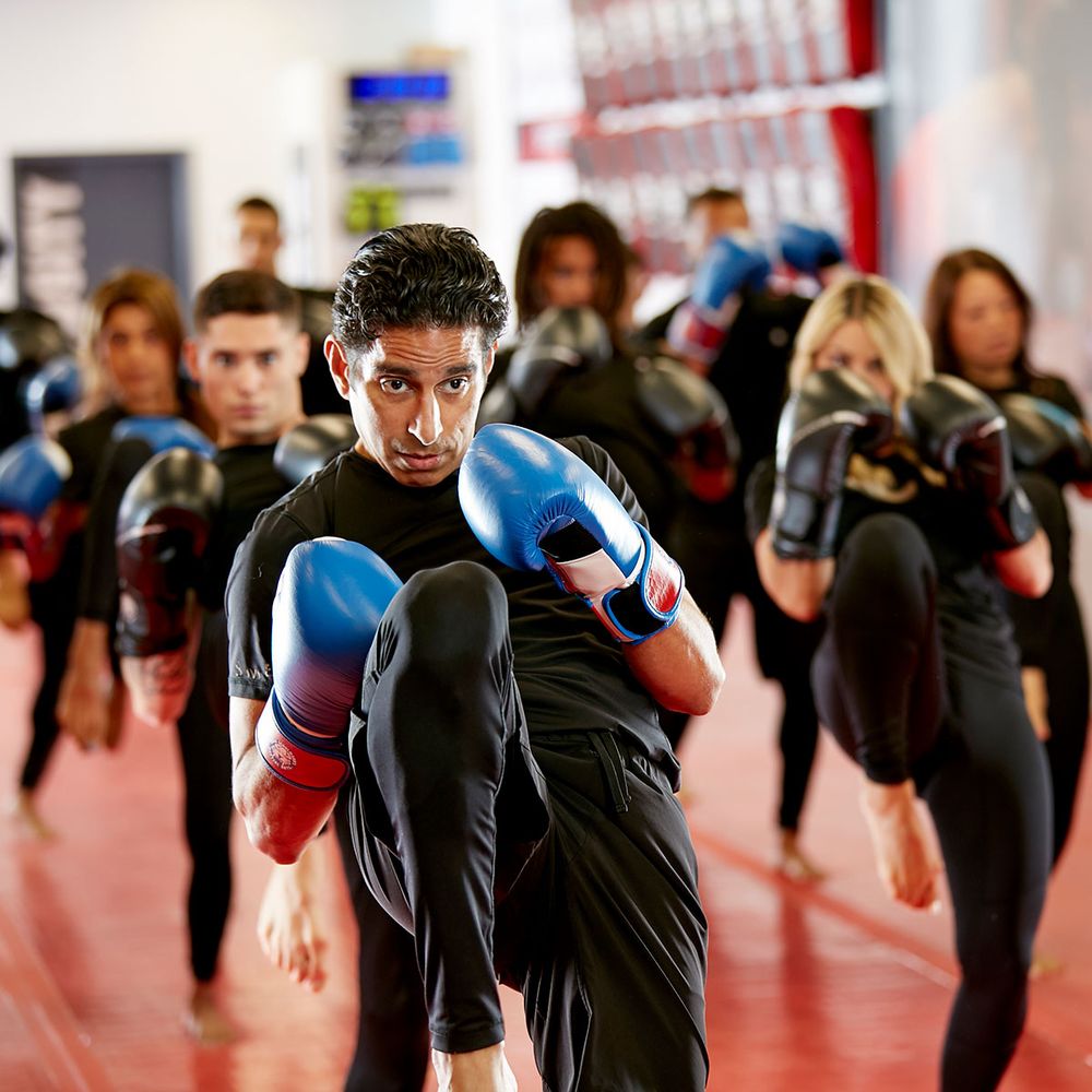 Tiger Schulmann's Martial Arts - Stamford Logo