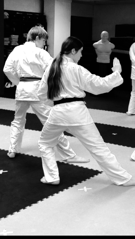 Sarah's School of Martial Arts Logo